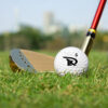 kd double layered golf ball
