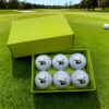 kd golf double layer competition ball